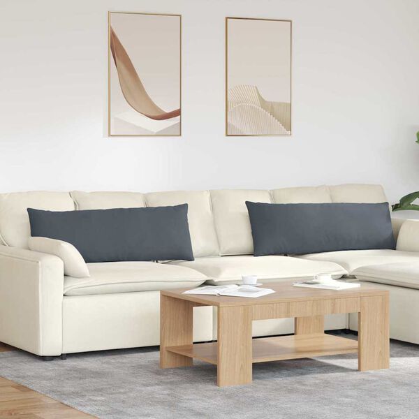 vidaXL Travesseiros de Sofá 2 pcs Cinza Escuro 120 x 40 cm