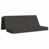 vidaXL Sof&aacute; Cama Dobr&aacute;vel 200 x 67 x 45cm Cinzento-Escuro