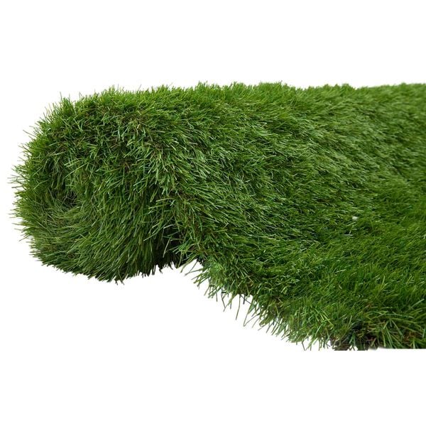 A apresentar a imagem do produto 1 de 10