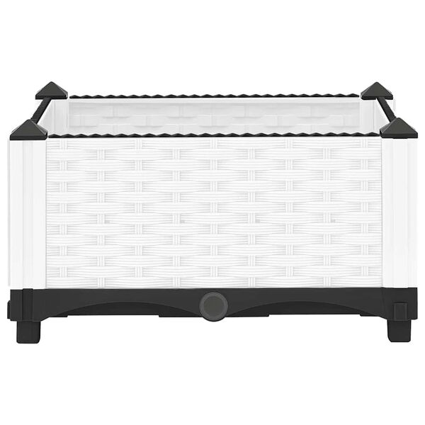 A apresentar a imagem do produto 4 de 8