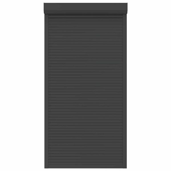 vidaXL Persiana de enrolar em alum&iacute;nio 110x220 cm antracite