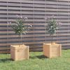 vidaXL Vasos/floreiras de jardim 2 pcs 40x40x40 cm pinho maci&ccedil;o