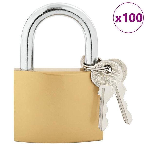 vidaXL U Lock com Chaves 100 pcs Lat&atilde;o Ferro