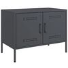 vidaXL M&oacute;vel de TV 68x39x50,5 cm a&ccedil;o antracite