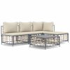 vidaXL 5 pcs conjunto lounge de jardim c/ almofad&otilde;es vime PE antracite