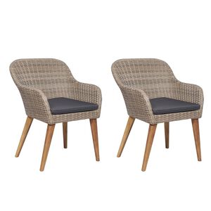 vidaXL Cadeiras de exterior c/ almofad&otilde;es 2 pcs vime PE castanho
