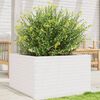 vidaXL Vaso/floreira de jardim 80x80x45,5 cm pinho maci&ccedil;o branco