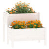 Imagem em miniatura do produto 3 de 7