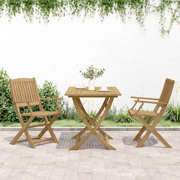 vidaXL Cadeiras de jardim dobráveis 2 pcs 58x54,5x90 cm acácia maciça