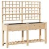 vidaXL Vaso de Jardim Bege 161 x 46 x 152,5 cm Madeira de Fir S&oacute;lida