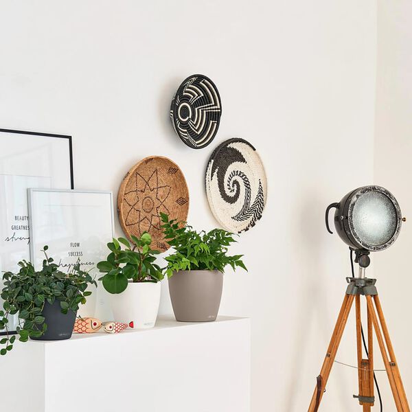 LECHUZA Vaso CLASSICO Color 18 ALL-IN-ONE ard&oacute;sia