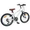 vidaXL Kids Mountain Bike 20 Polegadas 6-Speed para 5-8 anos Branco