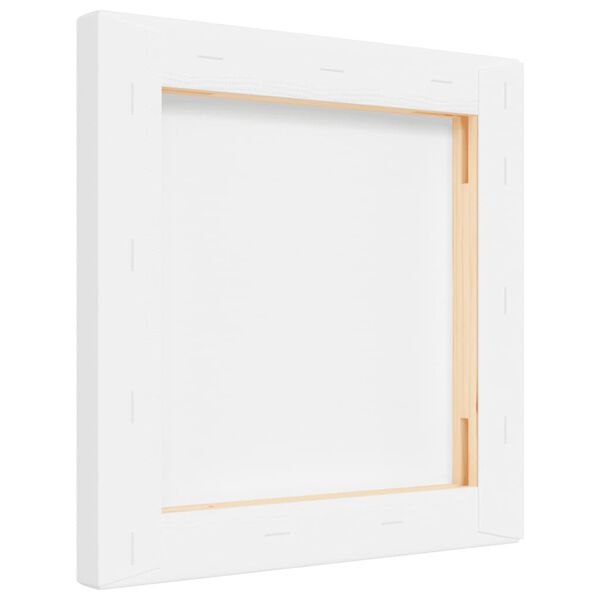 vidaXL Telas esticadas 12 pcs tecido e madeira de pinho maci&ccedil;a branco