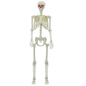 vidaXL Esqueleto de Halloween Branco 155 x 38,5 cm Polipropileno