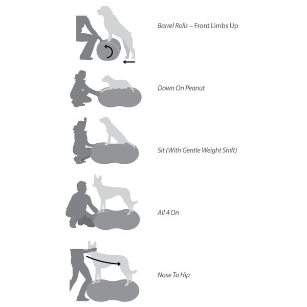 FitPAWS Plataf. equil&iacute;brio animais estima&ccedil;&atilde;o Trax Peanut 40cm amarelo