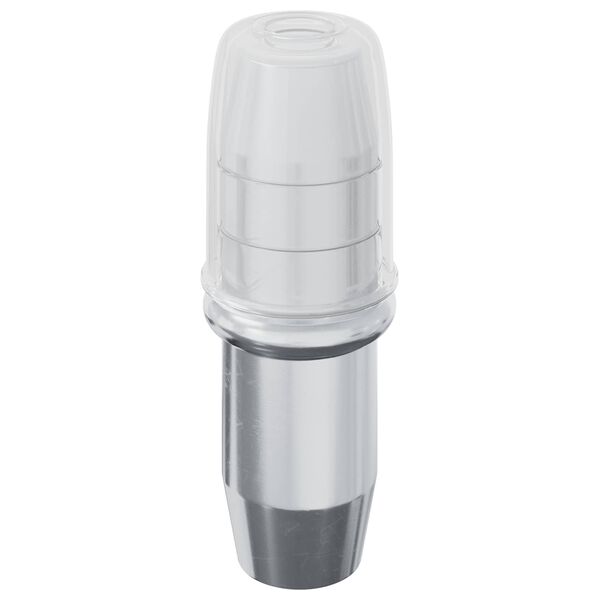 vidaXL Ganchos de Prateleira 12 pcs Prateado 7 x 16 mm Ferro