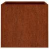 vidaXL Vasos/floreiras 2 pcs 49x47x46 cm a&ccedil;o corten