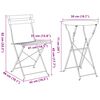 vidaXL Conjunto Bistro Dobrável 3 pcs Antracite Aço