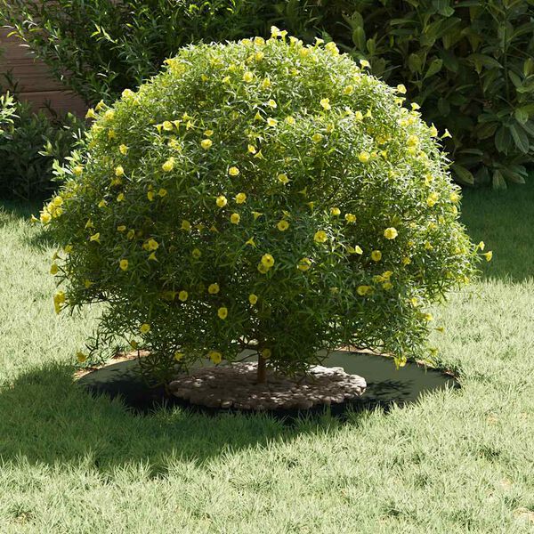 vidaXL adequado para Anel de Árvore Plano Verde-oliva Ø30 / 60 cm Aço