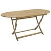 vidaXL Mesa de jardim dobr&aacute;vel 160x85x75 cm madeira de ac&aacute;cia maci&ccedil;a