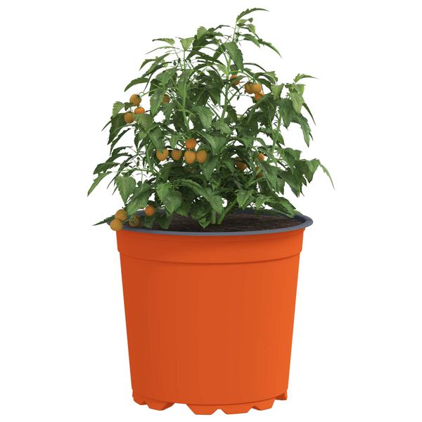 A apresentar a imagem do produto 3 de 11