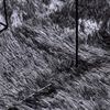 vidaXL Tapete shaggy de pelo alto NAVARRA 240x240 cm cinzento-escuro