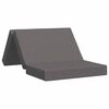vidaXL Sof&aacute; Cama Dobr&aacute;vel 100 x 67 x 45 cm Cinzento-claro