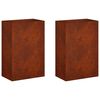 vidaXL Vaso de Jardim 2 unid. Ferro Enferrujado 40 x 30 x 75 cm