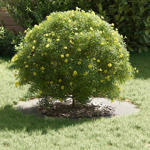 A apresentar a imagem do produto 3 de 10