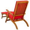 vidaXL Espregui&ccedil;adeira Reclin&aacute;vel e Dobr&aacute;vel 2 pcs Vermelho
