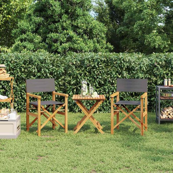 vidaXL Cadeiras de realizador dobr&aacute;veis 2 pcs teca maci&ccedil;a cinzento