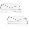 vidaXL Edred&atilde;o de inverno penugem 2 pcs 155x220 cm