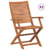 vidaXL Cadeiras jardim dobr&aacute;veis c/ apoio bra&ccedil;os 2 pcs ac&aacute;cia maci&ccedil;a