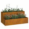 vidaXL Vaso de Jardim Ferro Enferrujado 100 x 60 x 45 cm