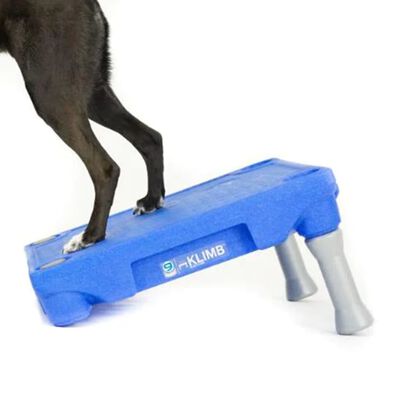 BLUE-9 Plataforma para o sistema de treino canino KLIMB azul