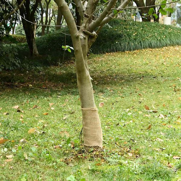A apresentar a imagem do produto 2 de 7