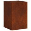 vidaXL Vaso de Jardim Ferro Enferrujado 40 x 40 x 60 cm A&ccedil;o Corten