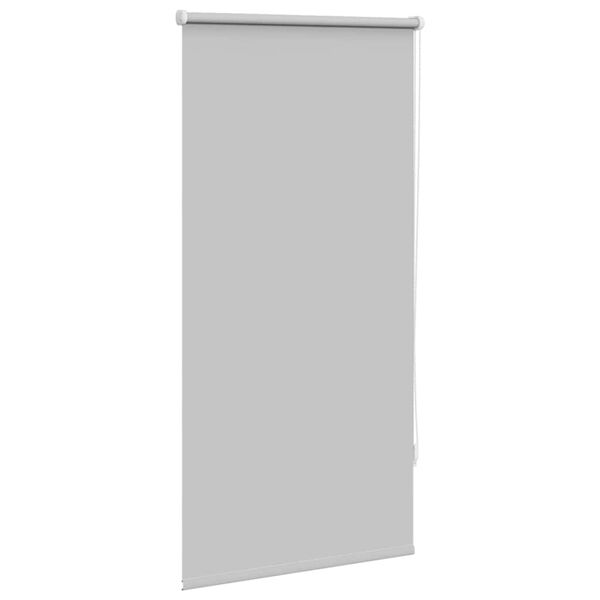 Estore de rolo 60 x 120 cm, Cinza