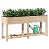 vidaXL Vaso de Jardim Bege 161 x 43 x 76,5 cm Madeira de Fir S&oacute;lida