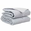 vidaXL Duvet de Ano Inteiro 200 x 240 cm 300 gsm Prateado