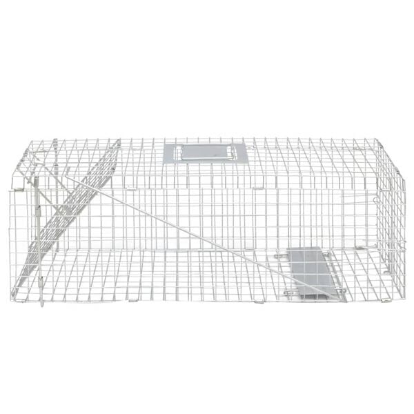 A apresentar a imagem do produto 3 de 3
