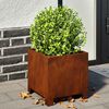 vidaXL Garden Planters 2 pcs 30x30x30 cm a&ccedil;o resistente &agrave;s intemp&eacute;ries