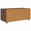 vidaXL Gabinete para TV com gaveta Carvalho Marrom 100 x 48 x 43 cm