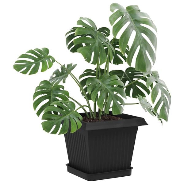 A apresentar a imagem do produto 3 de 10