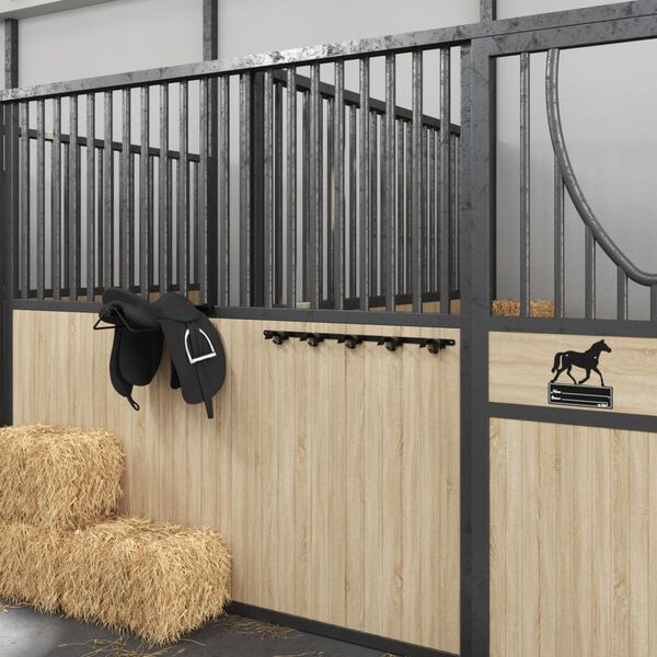 vidaXL Suporte de brida para 5 bridas com 5 ganchos ferro preto