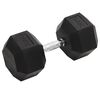 vidaXL Haltere 30 kg ferro fundido