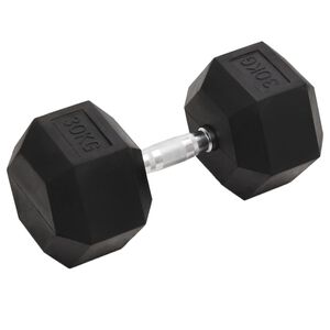 vidaXL Haltere 30 kg ferro fundido