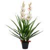 vidaXL Planta orqu&iacute;dea cymbidium artificial com vaso 100 cm verde
