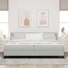 vidaXL Cama Box Spring LED com led Cinzento-claro 200 x 200 cm Veludo
