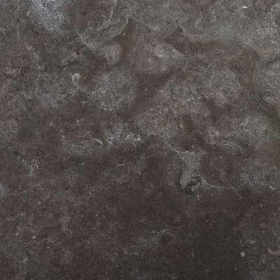 vidaXL Tampo de mesa Ø40x2,5 cm mármore preto